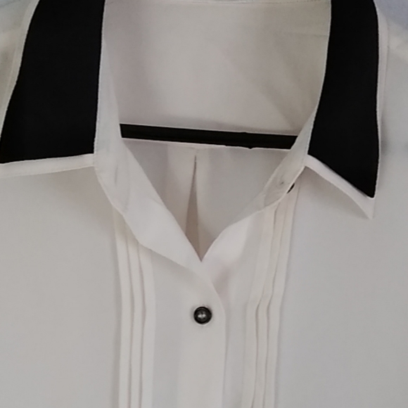 The Limited Women's Sheer Long Sleeve Blouse Chiffon Cream Button Down XL - Picture 2 of 6